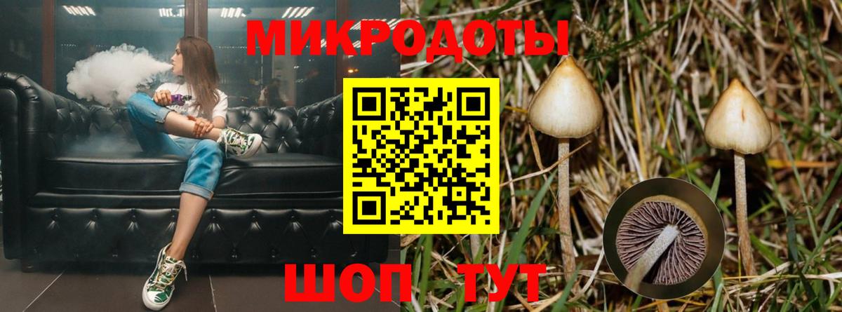 Пенза  Псилоцибиновые грибы Psilocybe  Вход с VPN 