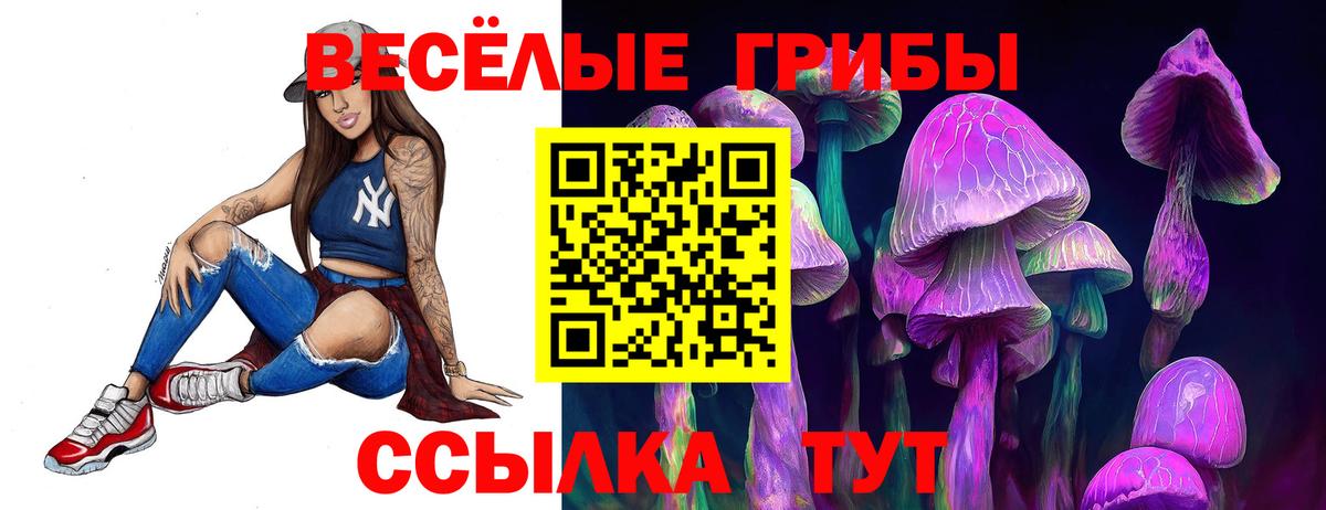 Галлюциногенные грибы мицелий Пенза